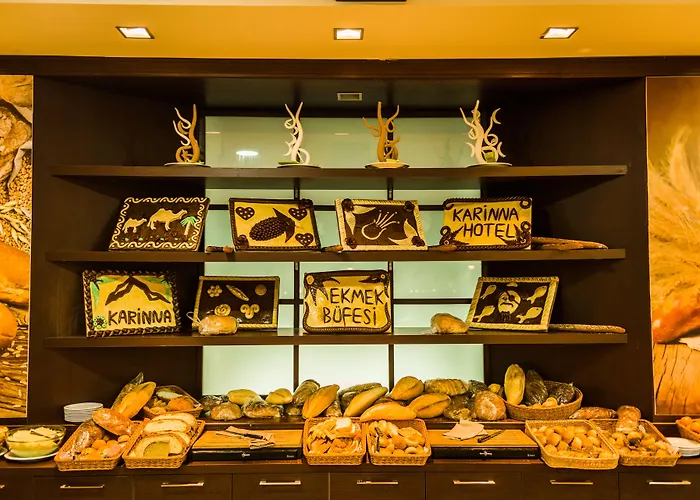 Karinna Uludag فندق بورصة